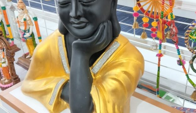 Daniya store-10