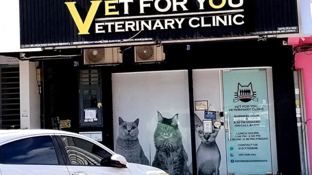 vet-for-you-clinic