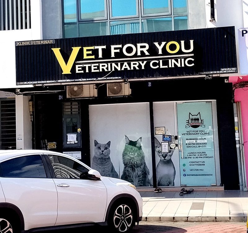vet-for-you-clinic