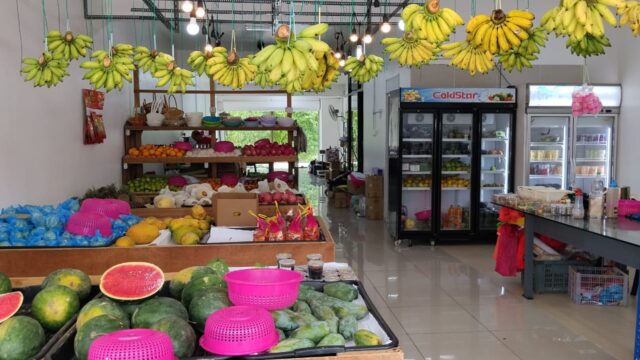 BUAH-BUAHAN-july-1