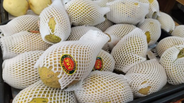 BUAH-BUAHAN-july-10