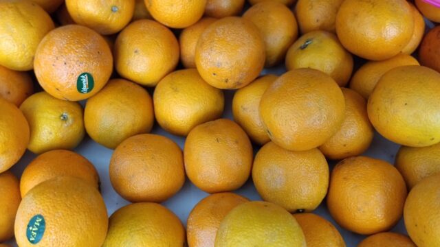 BUAH-BUAHAN-july-11