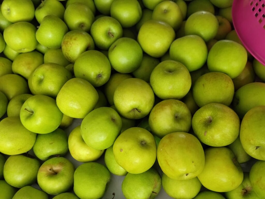 BUAH-BUAHAN-july-12