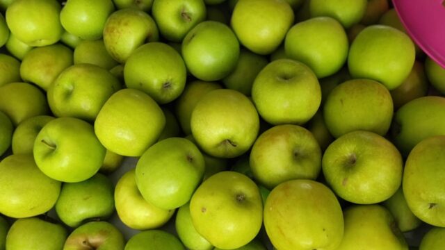 BUAH-BUAHAN-july-12