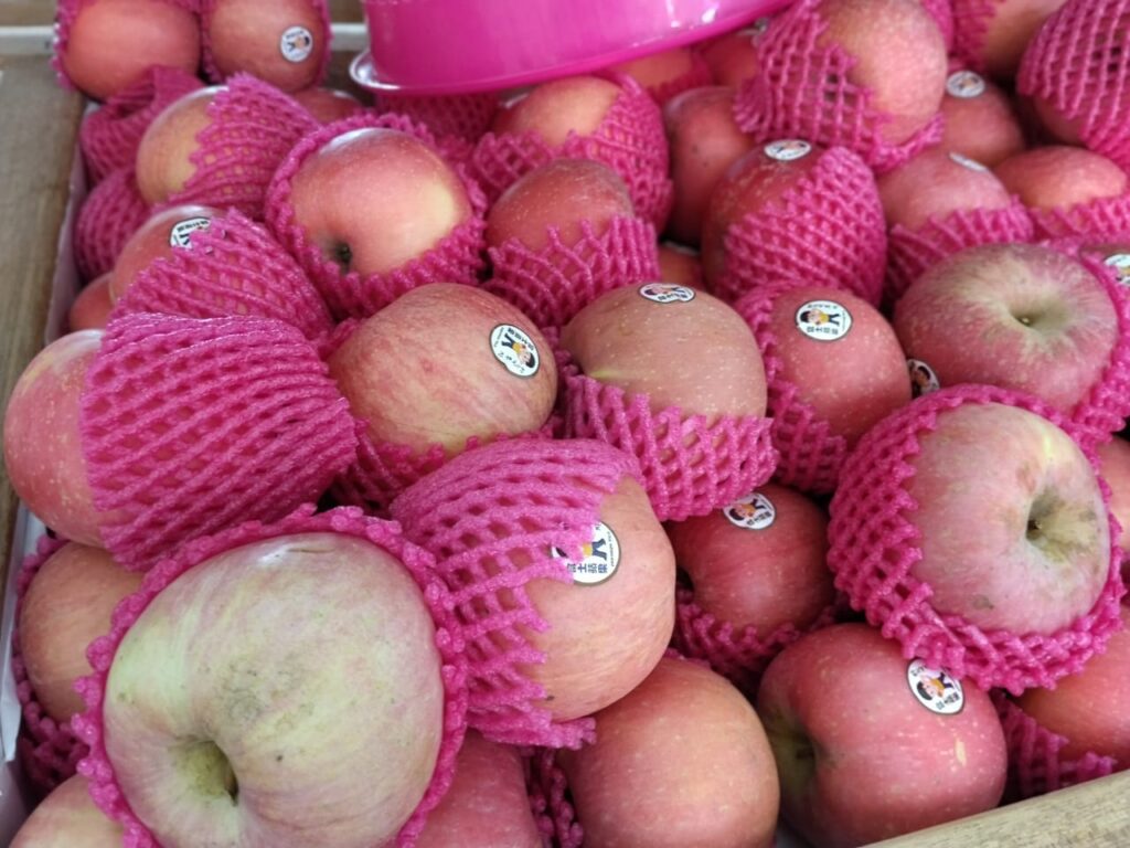 BUAH-BUAHAN-july-14