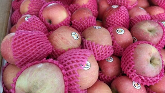 BUAH-BUAHAN-july-14