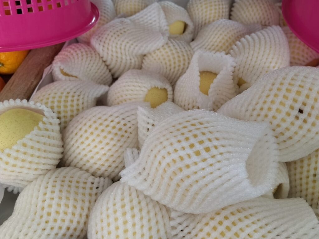 BUAH-BUAHAN-july-15