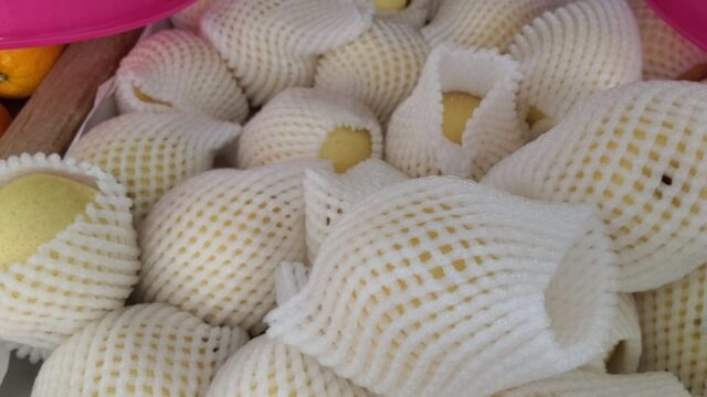 BUAH-BUAHAN-july-15