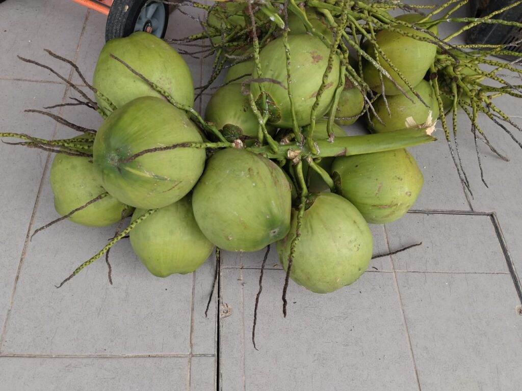 BUAH-BUAHAN-july-16