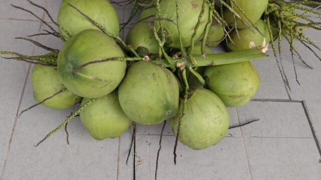 BUAH-BUAHAN-july-16