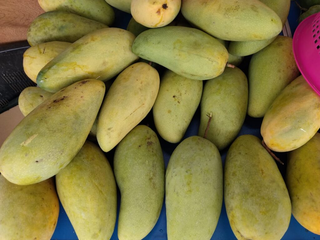 BUAH-BUAHAN-july-2
