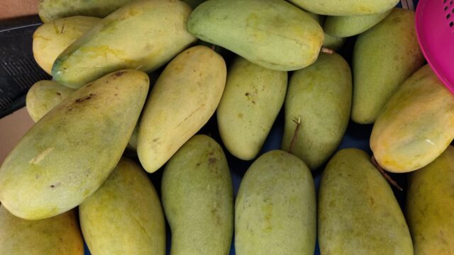 BUAH-BUAHAN-july-2