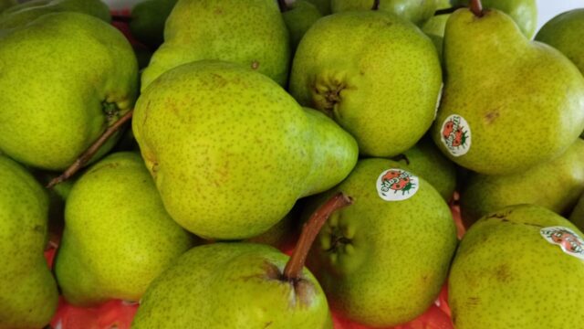 BUAH-BUAHAN-july-5